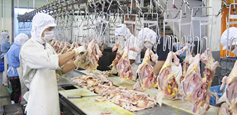 Thông báo tuyển Thực tập sinh ngành CNTP: Chế biến thịt gà làm việc tại Nhật Bản tháng 11/2018