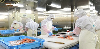 Tuyển 30 nữ thực tập ngành chế biến thực phẩm tại Osaka Nhật Bản. LƯơng 24 triệu đồng/tháng. 