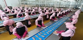 Thông báo tuyển thực tập sinh ngành chế biến thực phẩm tại tỉnh Mie Nhật Bản. Lương 31 triệu/tháng. 