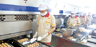 Thông báo tuyển Thực tập sinh ngành CNTP, Chương trình kiểm tra và thu hoạch trứng gà làm việc tại Nhật Bản tháng 9/2018