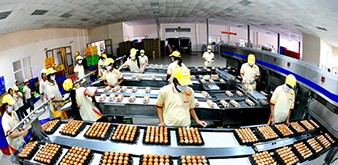Thông báo tuyển Thực tập sinh ngành CNTP, Chương trình sản xuất thực phẩm về trứng làm việc tại Nhật Bản tháng 9/2018