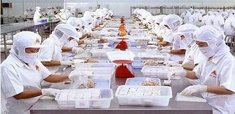 Thông báo tuyển dụng thực tập sinh ngành Công nghệ thực phẩm làm việc tại Kagawa, Nhật Bản